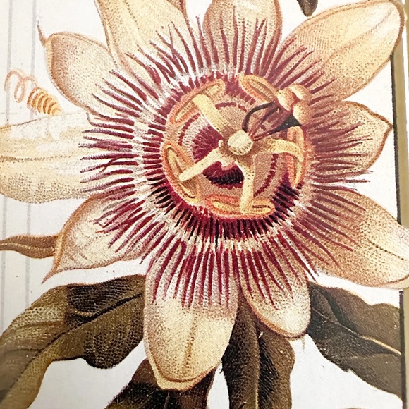 A Victorian Posy Penhaligon's Scented Photograph Album by Sheila Pickles - Picture 7 of 8